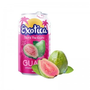 Exotica Guava Fruit Juice Can 355 Ml