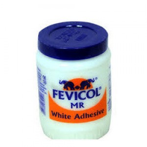 Fevicol Mr White Adhesive 1 Kg