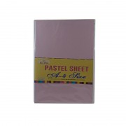 Bun Chin A4 Pastel Colour Sheet 20 Sheets 1 Pc
