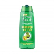 Garnier Fructis 2 In 1 Shampoo + Oil 175 Ml