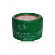 Biotique Bio Lip Sunflower Lip Balm 12 Gm